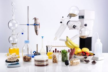 Ciencia y Tecnología de Alimentos