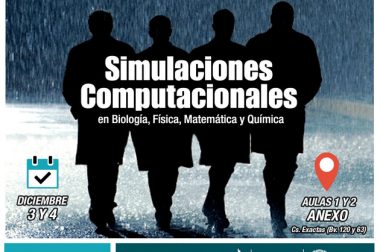 1er Reunión de líneas de Trabajo: Simulaciones Computacionales