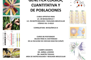 Curso de posgrado / Optativa